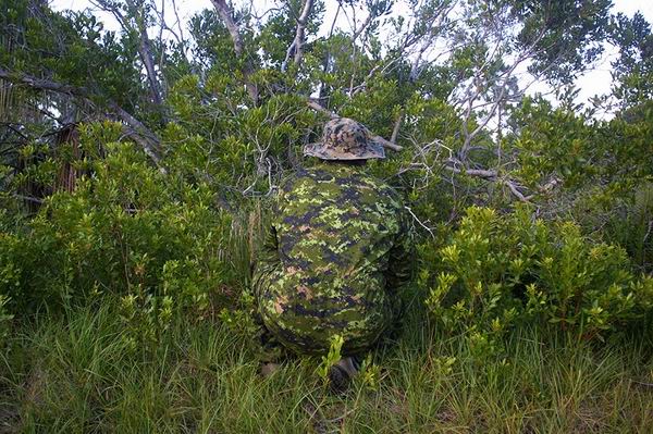 Файл:Камуфляж CADPAT 01.jpg