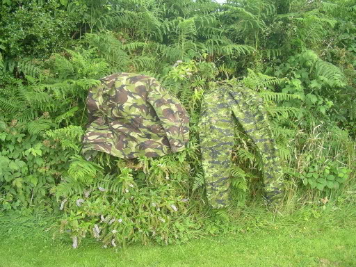 Файл:Камуфляж CADPAT 02.jpg