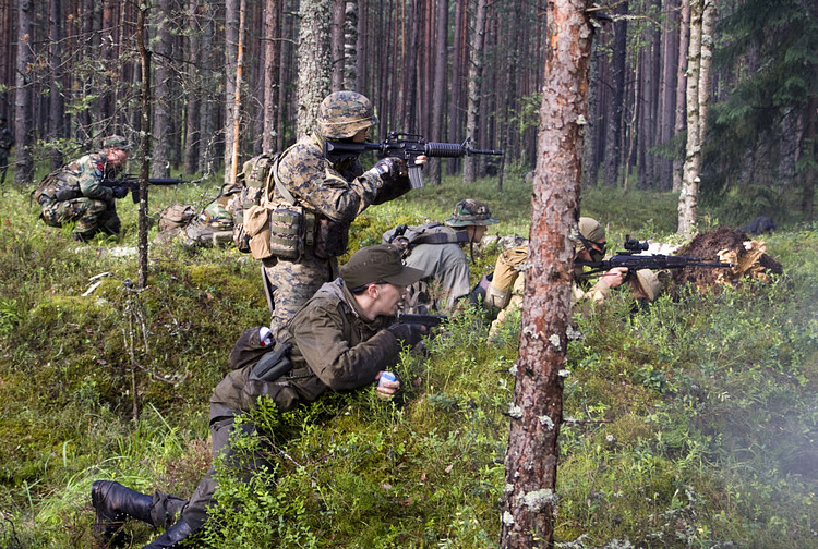 Виды игр ОСК.