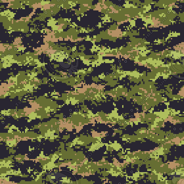 Файл:Камуфляж CADPAT 03.jpg