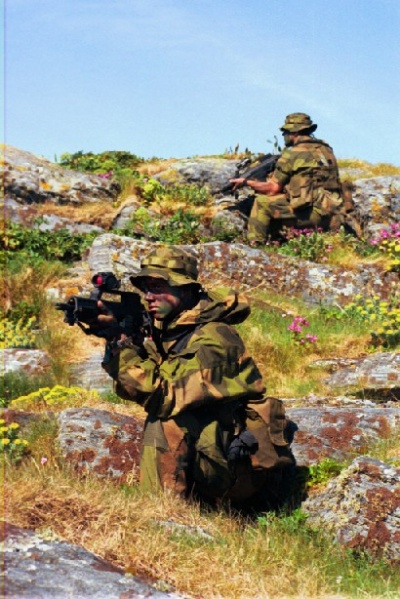 Файл:Камуфляж M98 летом.jpg