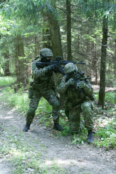 Файл:Камуфляж SURPAT 08.jpg