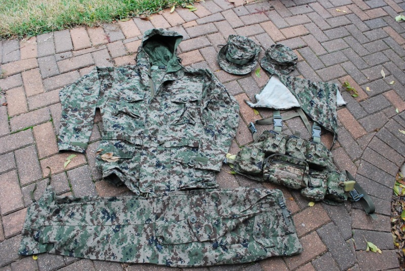 Файл:Камуфляж SURPAT 12.jpg