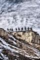10th Mountain Division 01.jpg