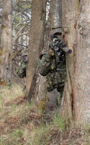 Файл:Камуфляж SURPAT 07.jpg